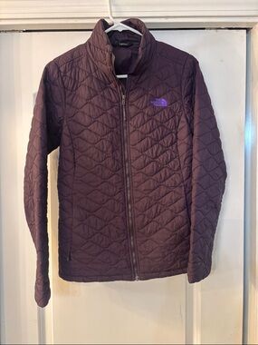 The North Face Quilted Jacket in Deep Plum